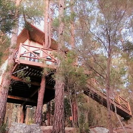 Casita Colgada "Can Lia" La Guancha Exteriér fotografie