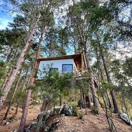 Casita Colgada "Can Lia" La Guancha Exteriér fotografie