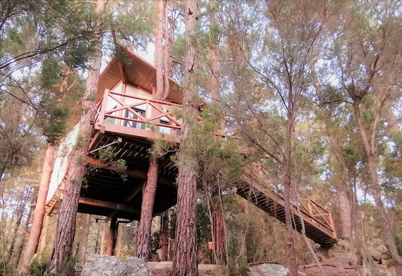 Casita Colgada "Can Lia" La Guancha Exteriér fotografie