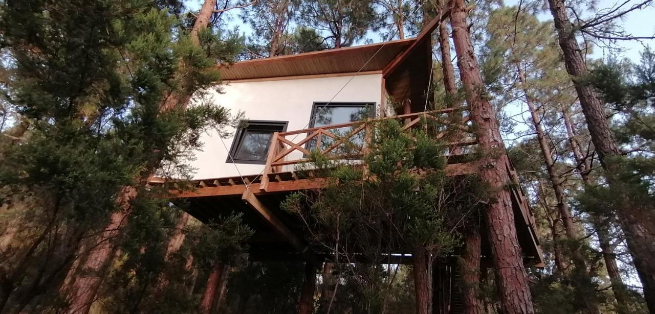 Casita Colgada "Can Lia" La Guancha Exteriér fotografie
