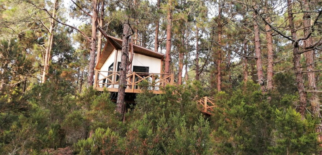 Casita Colgada "Can Lia" La Guancha Exteriér fotografie